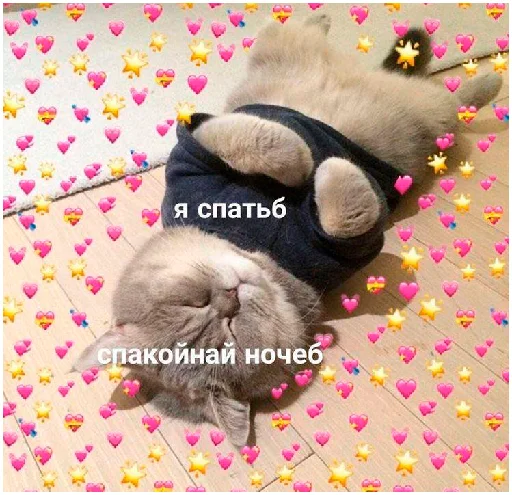 🙀 Стикер «arbuzzer 09 11» для Telegram