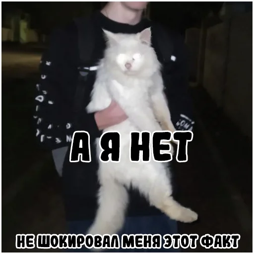 🤨 Стикер «arbuzzer 09 11» для Telegram