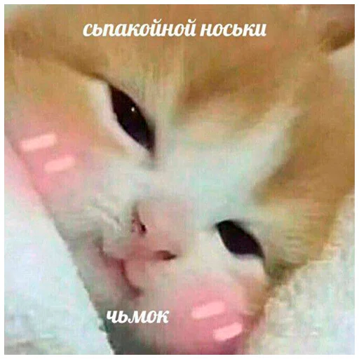 🍈 Стикер «arbuzzer 09 11» для Telegram