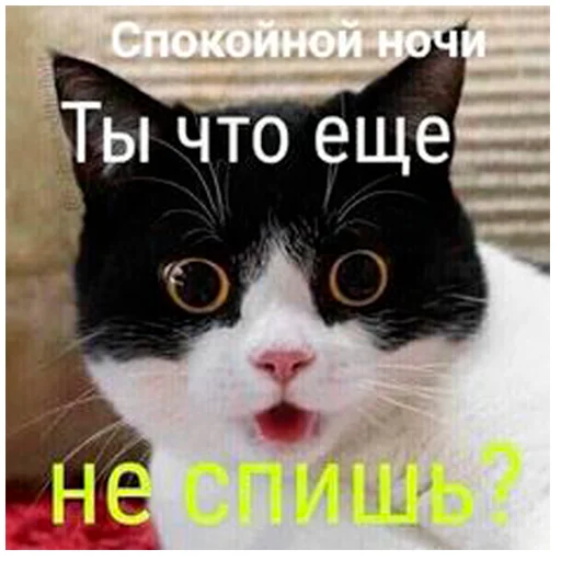 Стикерпак arbuzzer 09 11 для Telegram