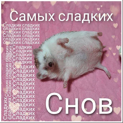🍖 Стикер «arbuzzer 09 11» для Telegram