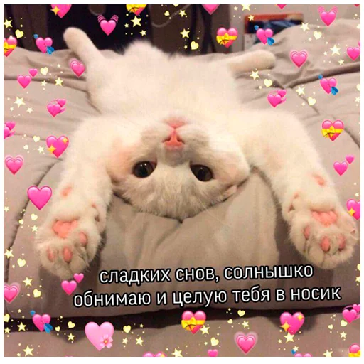 🍍 Стикер «arbuzzer 09 11» для Telegram