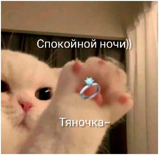 🫶 Стикер «arbuzzer 09 11» для Telegram