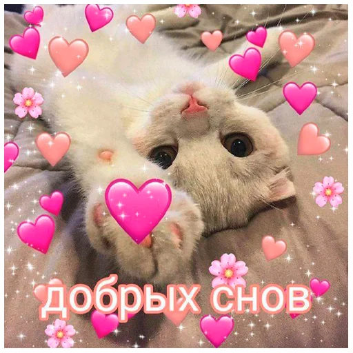 🌶 Стикер «arbuzzer 09 11» для Telegram