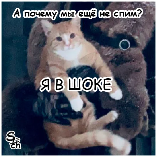 😳 Стикер «arbuzzer 09 11» для Telegram