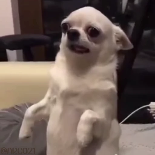 😕 Стикер «همچی اینجاس» для Telegram