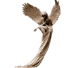 🪨 Эмодзи «architecture and art» для Telegram