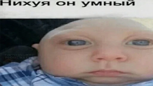 🤔 Стикер «ArePek memes» для Telegram