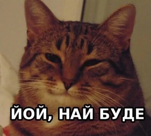 🤔 Стикер «ArePek memes» для Telegram