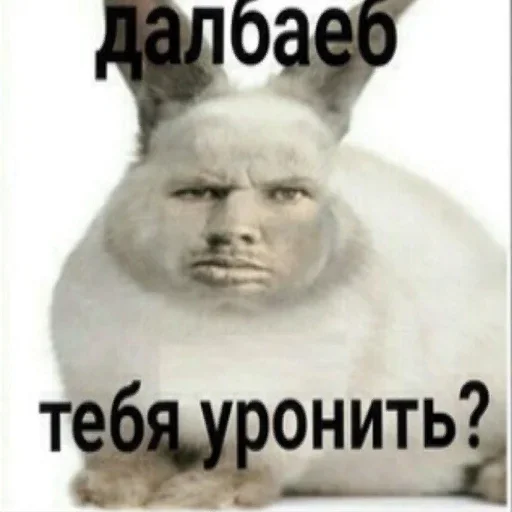 😡 Стикер «ArePek memes» для Telegram