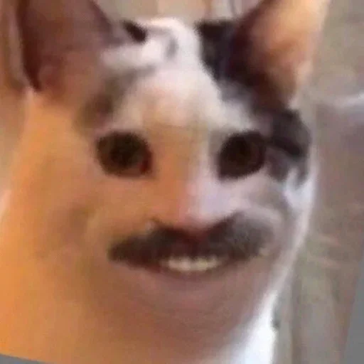 😃 Стикер «ArePek memes» для Telegram