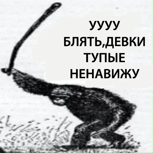 🐵 Стикер «ArePek memes» для Telegram