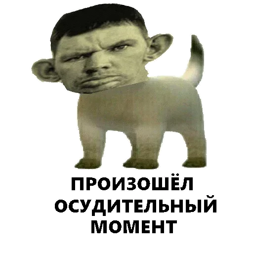 🤔 Стикер «ArePek memes» для Telegram