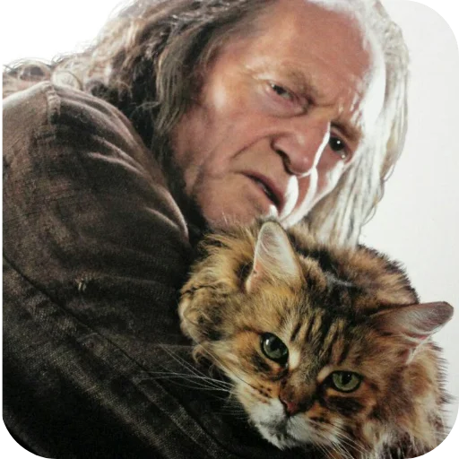 🐱 Стикер «Argus Filch?» для Telegram