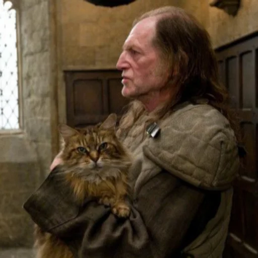 😺 Стикер «Argus Filch?» для Telegram