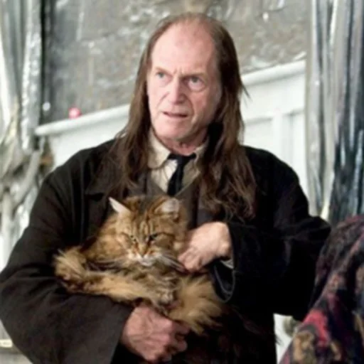 😺 Стикер «Argus Filch?» для Telegram