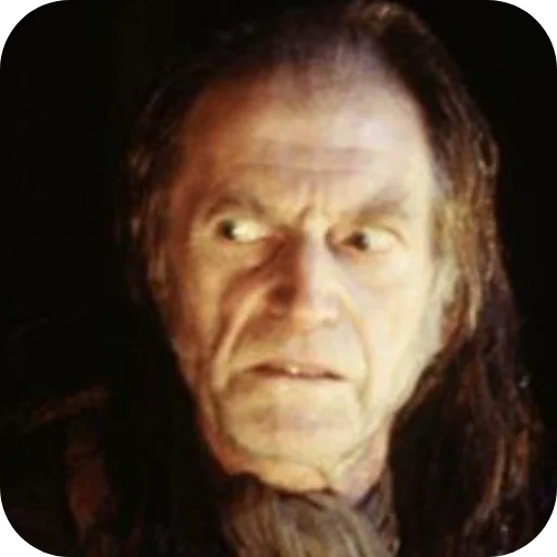 🧥 Стикер «Argus Filch?» для Telegram