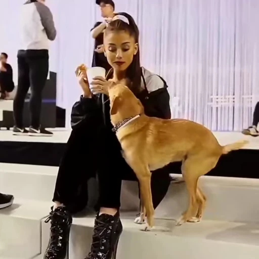 ♥️ Стикер «Ariana Grande» для Telegram