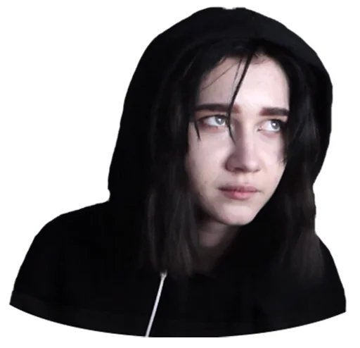 🐨 Стикер «arina_gp666» для Telegram