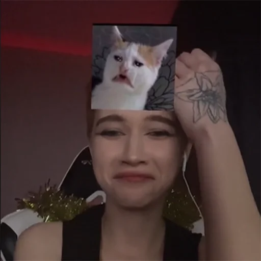 😿 Стикер «arina_gp666» для Telegram