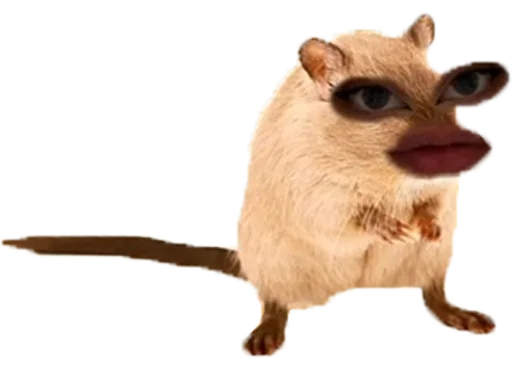 🐀 Стикер «arina_gp666» для Telegram