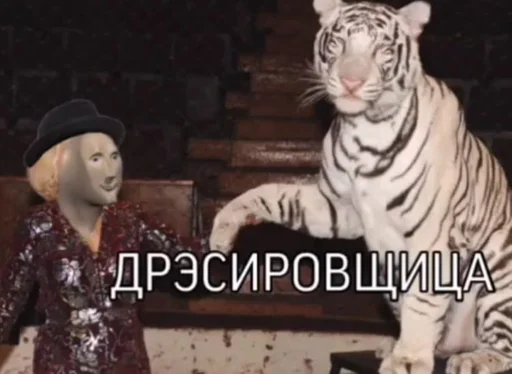 🐯 Стикер «Пластилиновые ёбла» для Telegram