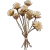 Стикер 16 Amor Caecus