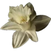 Стикер 7 Amor Caecus