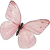 Стикер 43 Amor Caecus