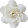 Стикер 31 Amor Caecus