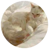 🎨 Эмодзи «art» для Telegram