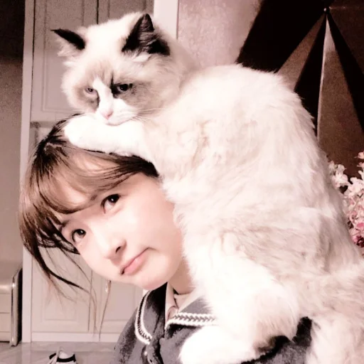 🛼 Стикер «Чжао Лиин» для Telegram