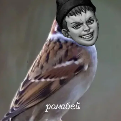 🤡 Стикер «romochka i antonushka» для Telegram
