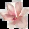 Стикер 23 asia