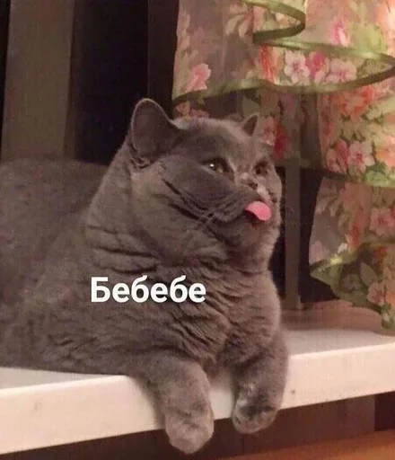 😂 Стикер «Груз ма етта» для Telegram