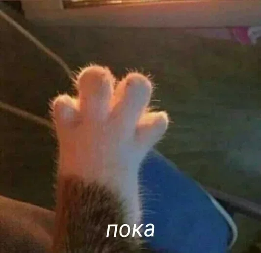 😂 Стикер «Груз ма етта» для Telegram