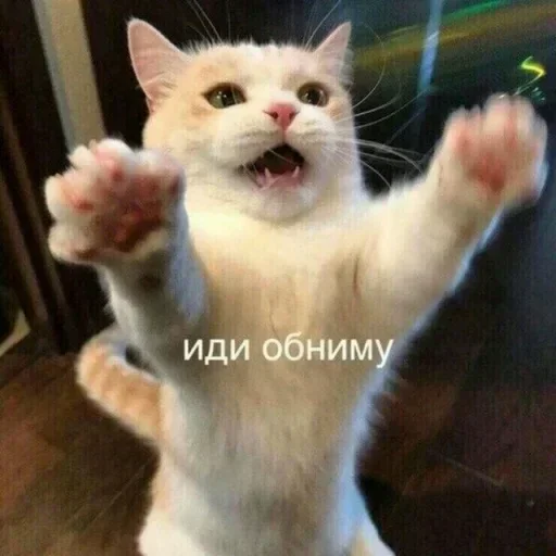 😂 Стикер «Груз ма етта» для Telegram
