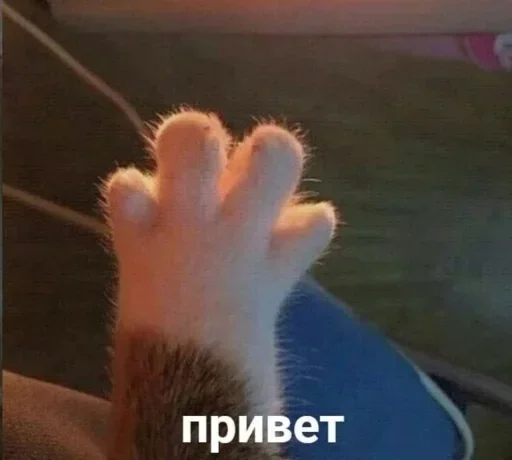 😂 Стикер «Груз ма етта» для Telegram