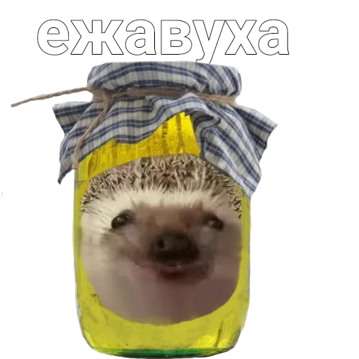 🦔 Стикер «ASS-69» для Telegram