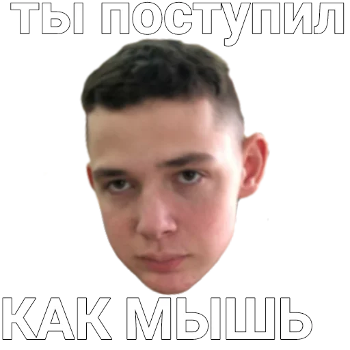 🐭 Стикер «ASS-69» для Telegram