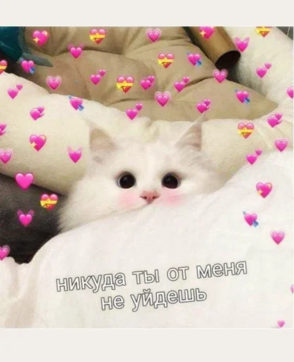 😻 Стикер «(Assorted stickers) •ηηợ√•» для Telegram