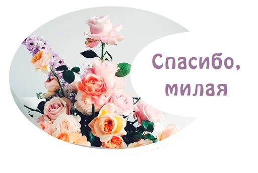 💐 Стикер «(Assorted stickers) •ηηợ√•» для Telegram