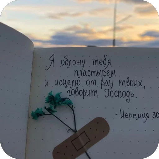 🫥 Стикер «(Assorted stickers) •ηηợ√•» для Telegram