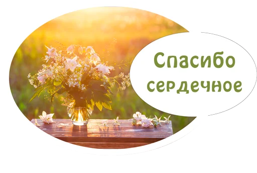🌷 Стикер «(Assorted stickers) •ηηợ√•» для Telegram