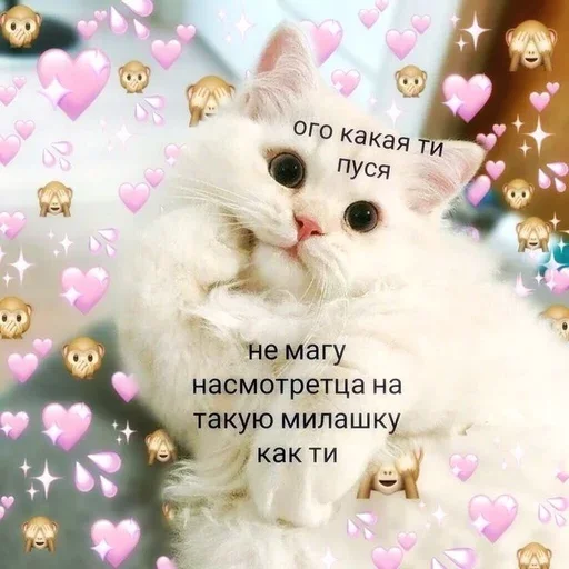 😍 Стикер «(Assorted stickers) •ηηợ√•» для Telegram