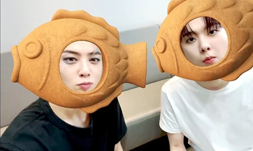 🐟 Стикер «ASTRO memes» для Telegram