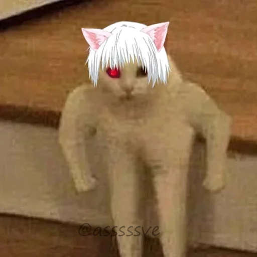 😠 Стикер «Asvecats» для Telegram