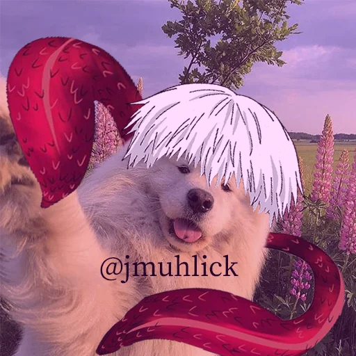 😎 Стикер «Asvecats» для Telegram