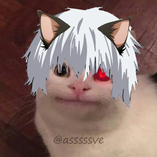 😀 Стикер «Asvecats» для Telegram