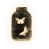 Стикер 23 Aura 2